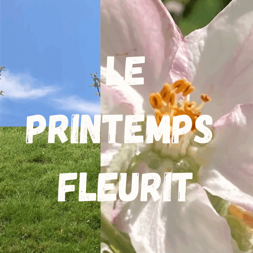 le printemps fleuri