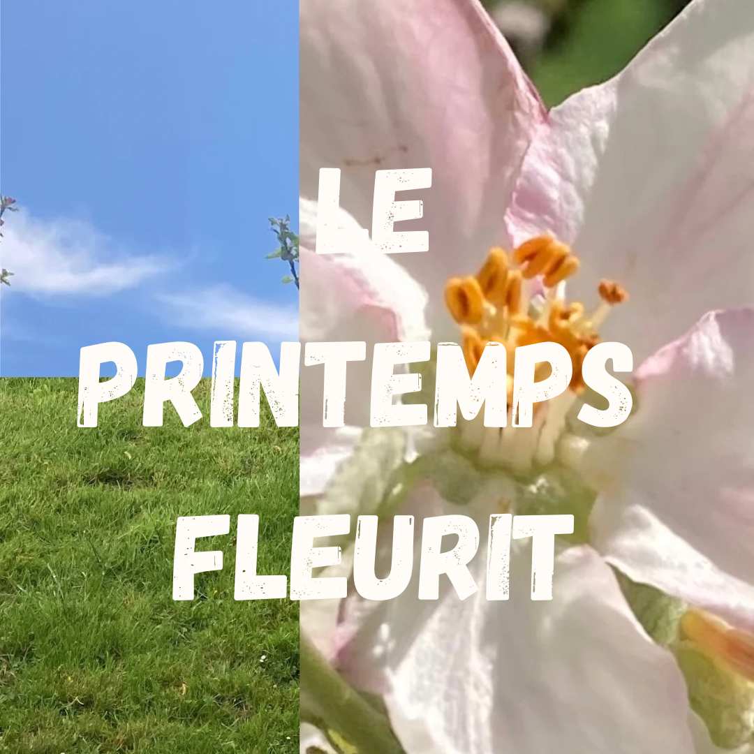 le printemps fleuri