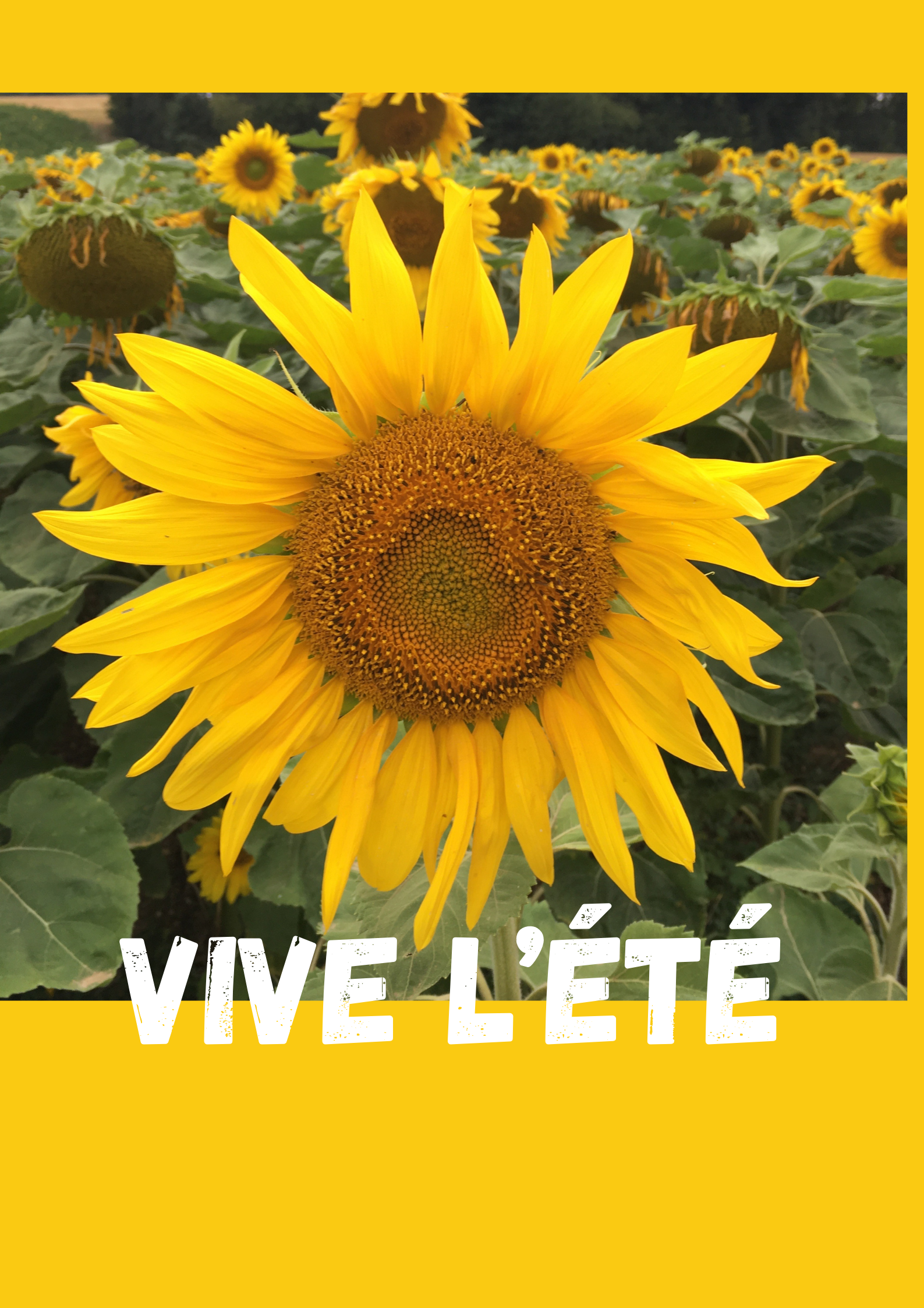 Vive l'été